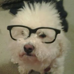 Meet your Posher, Anastacia